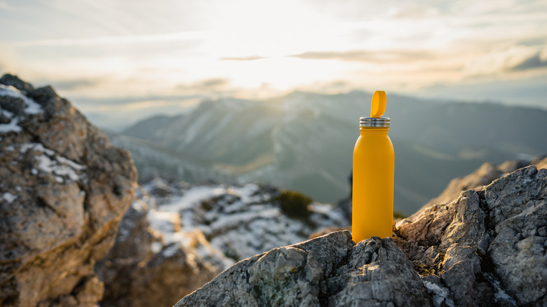 Water bottle in the wild