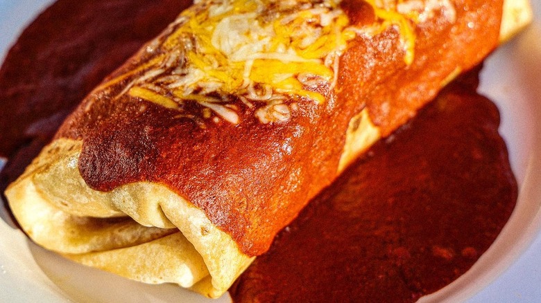 enchilada in red sauce and cheese