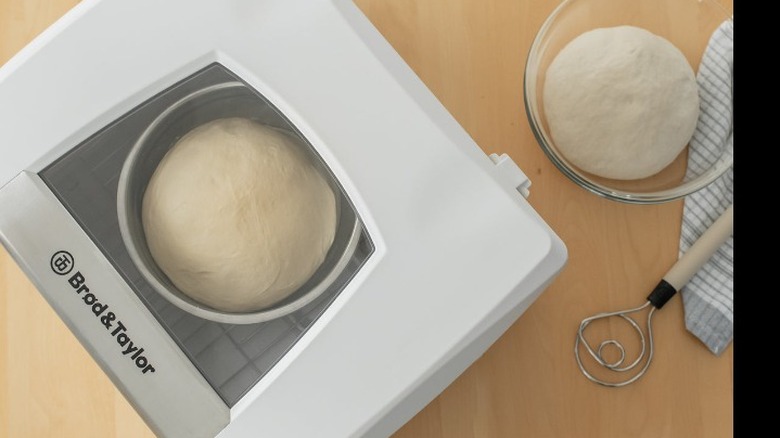 A ball of dough proofing in the proofer on a wood surface. 