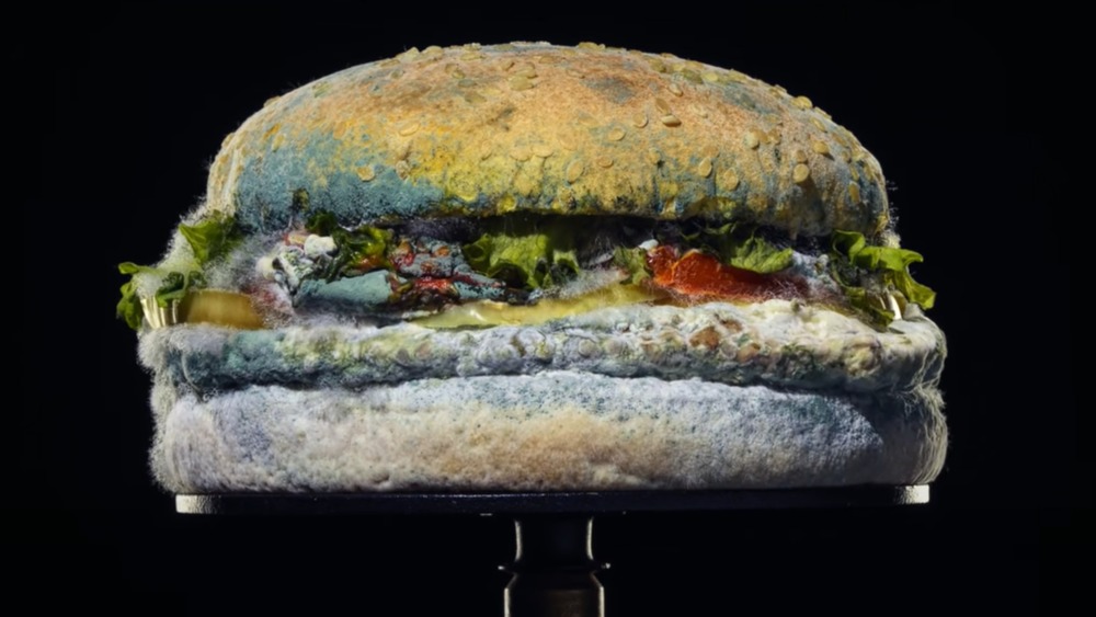 Moldy Whopper