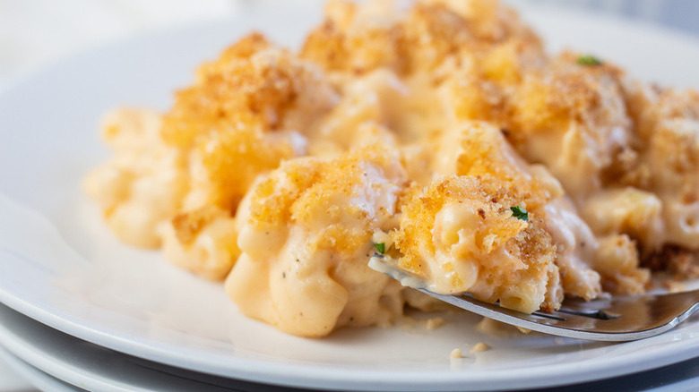 Macaroni and cheese on plate