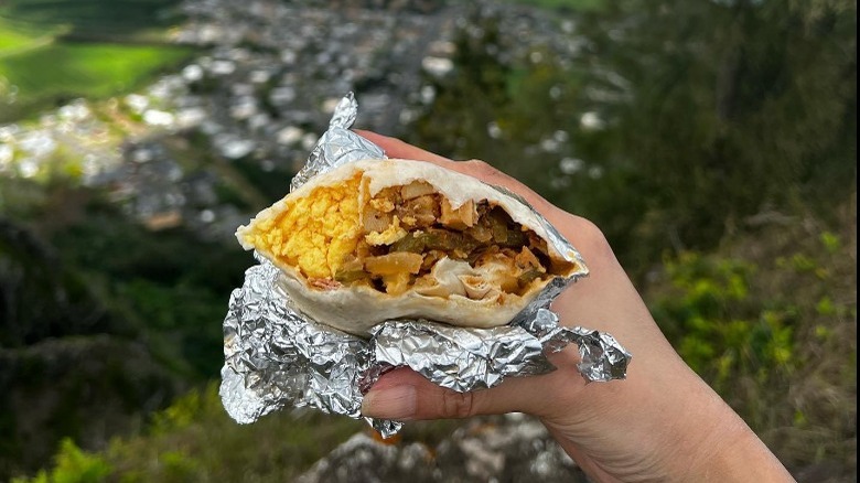 Hand holding breakfast burrito green jungle