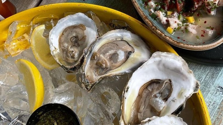 Oysters on yellow plate with ice