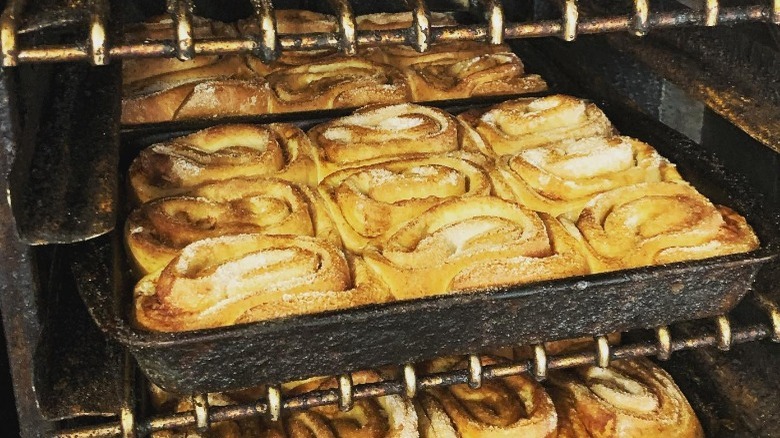 Cinnamon rolls bake in oven