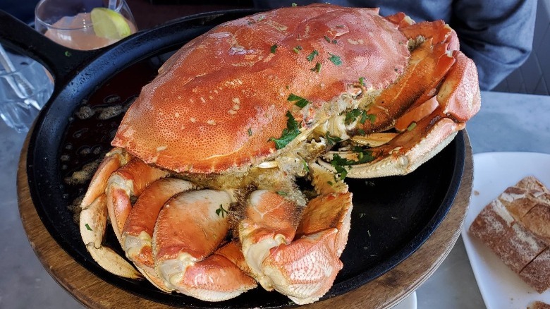 two large Dungeness crabs