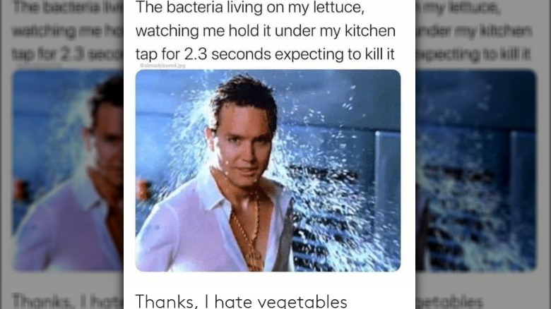 lettuce bacteria meme