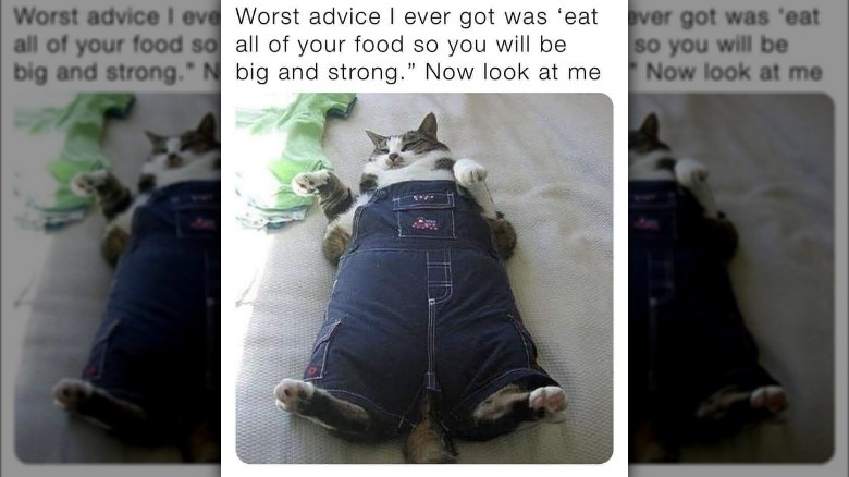 fat cat meme overalls