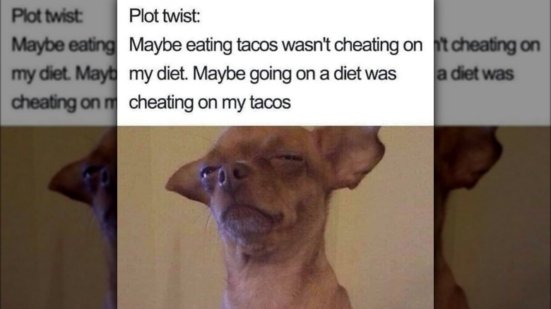 taco dog meme