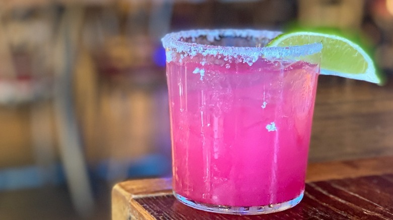 Hibiscus Margarita 