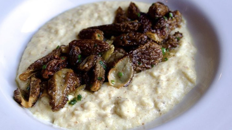 Cooked morel mushrooms on a bed of polenta