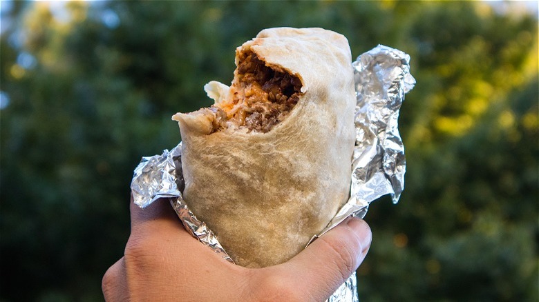 Hand holding burrito