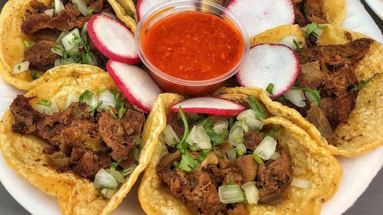 plate of birria tacos