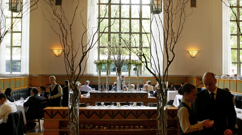 Eleven Madison Park vegan restaurant