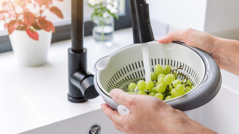 Rinsing green grapes in colander