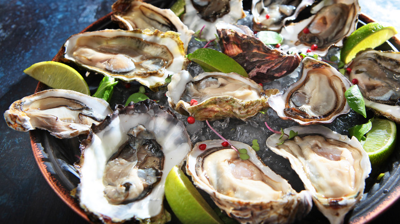 Half-shell oysters on plate 