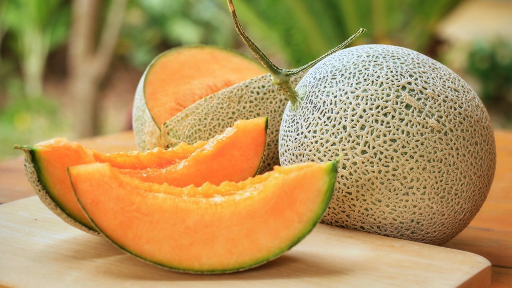 Cantaloupe