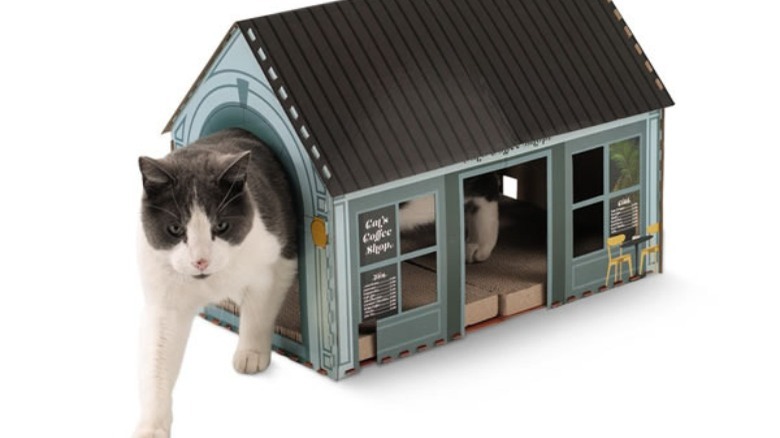 Heart to Tail Scratching Playhouse