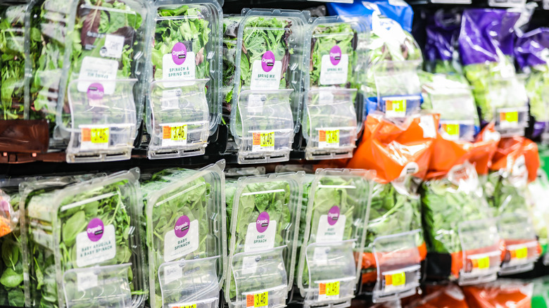 Packaged salad in grocery store