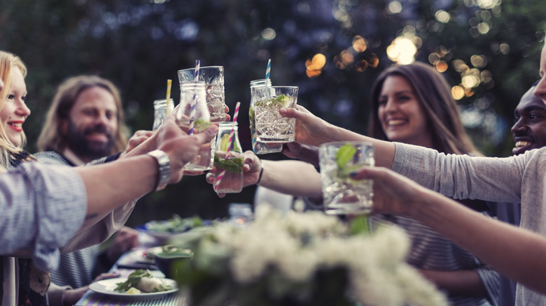 friends cheersing at picnic