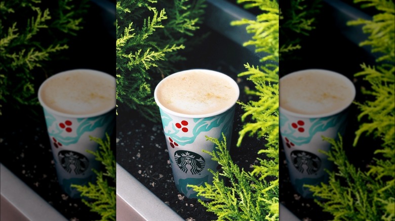 juniper latte under juniper branches