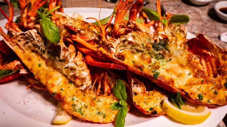 lobster Thermidor with fresh herbs and lemon