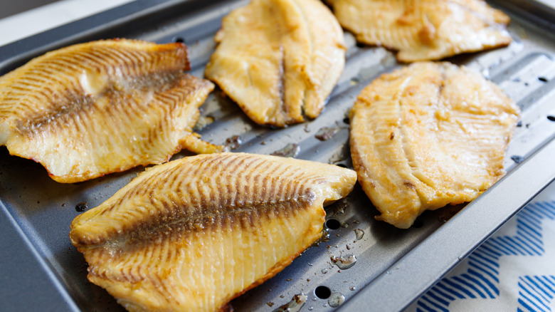 tilapia fillets on a broiling pan