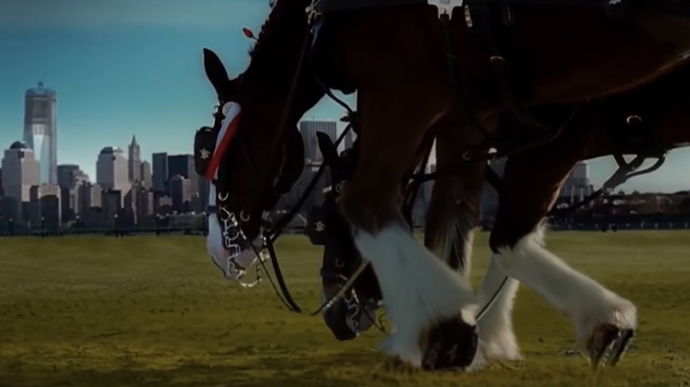 The Best Budweiser Super Bowl Commercials