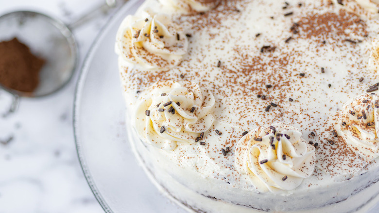 vegan chocolate cake with chocolate dusting