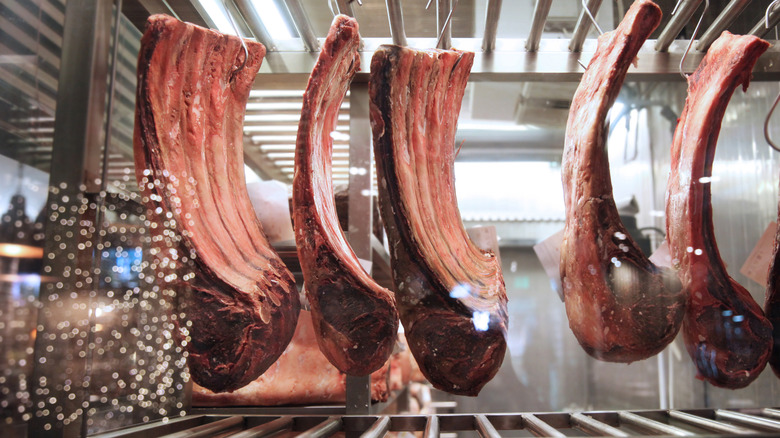 Steaks dry-aging at restaurant