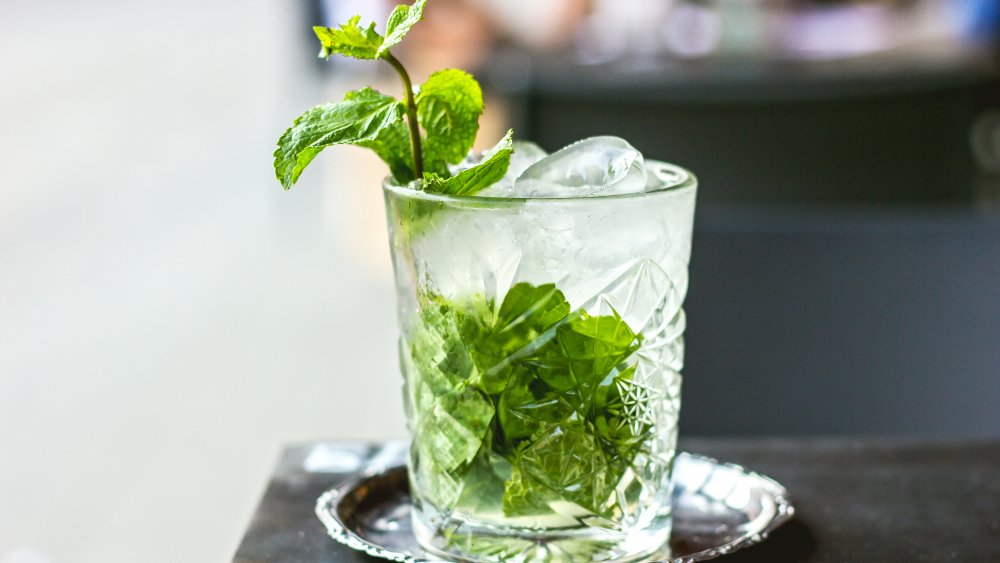 mojito cocktail is a cheap mixed drink