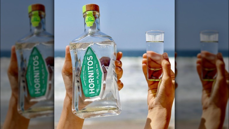 Hornitos Tequila bottle and shot