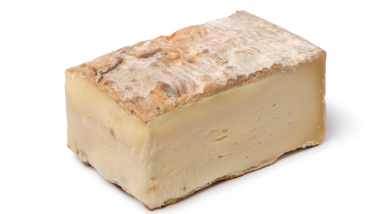 taleggio