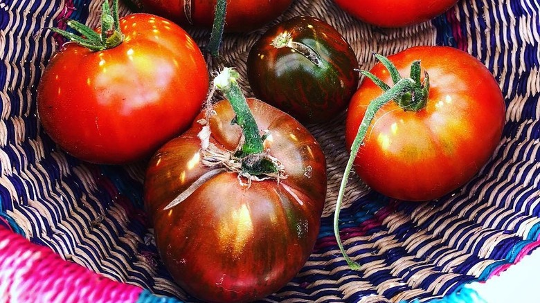 homegrown Thessaloniki tomatoes