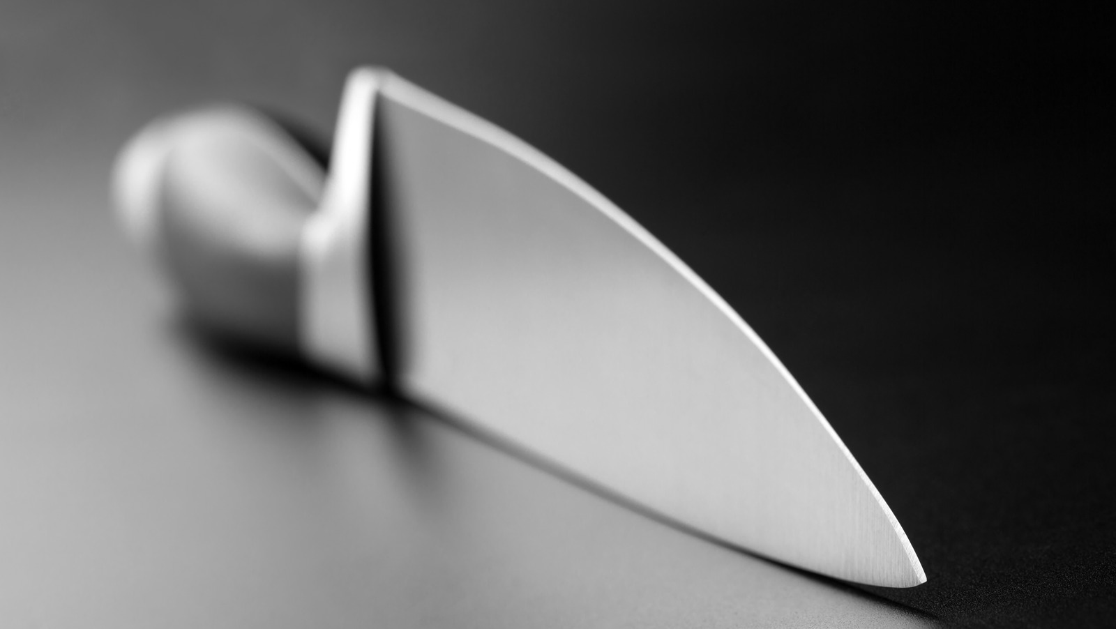 Best Chef's Knife Under $100 (Top 6 Compared) - Prudent Reviews