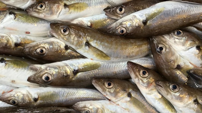 market haddock 