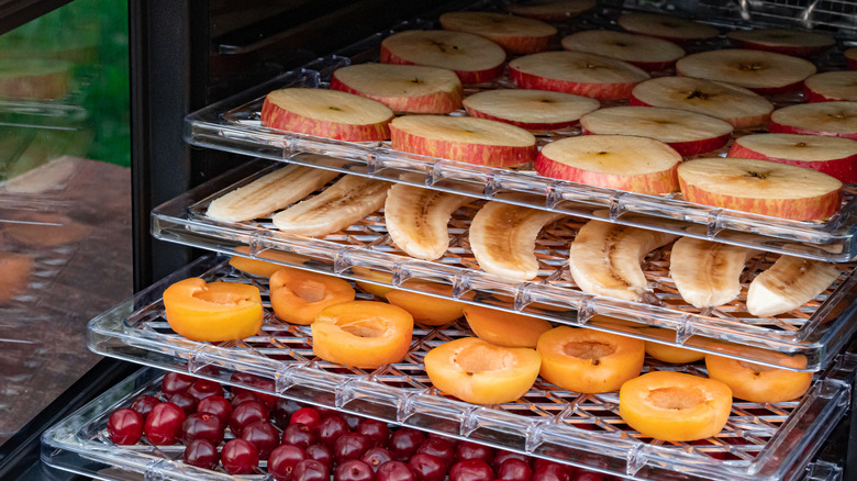 Dried fruit in trays 