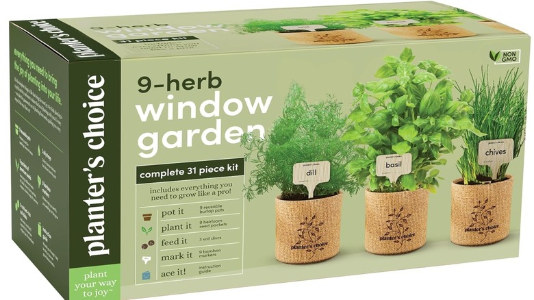 Window growing garden