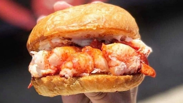 Hand holding lobster roll