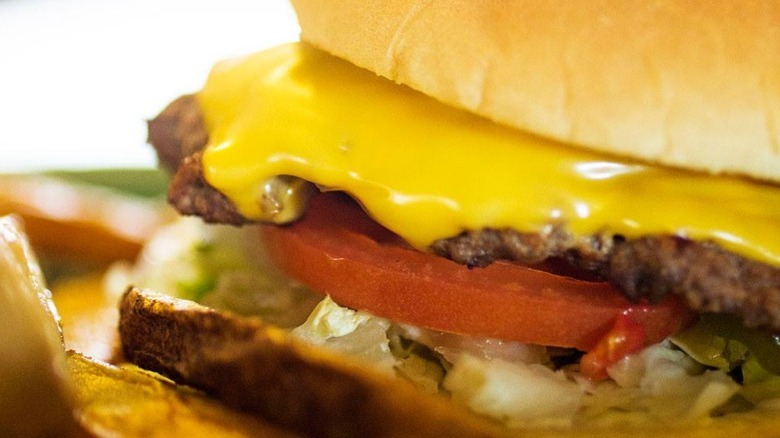 close-up shot of Hooshburger 