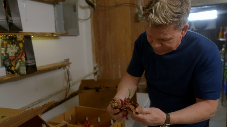 Ramsay curses and holds a rotten onion