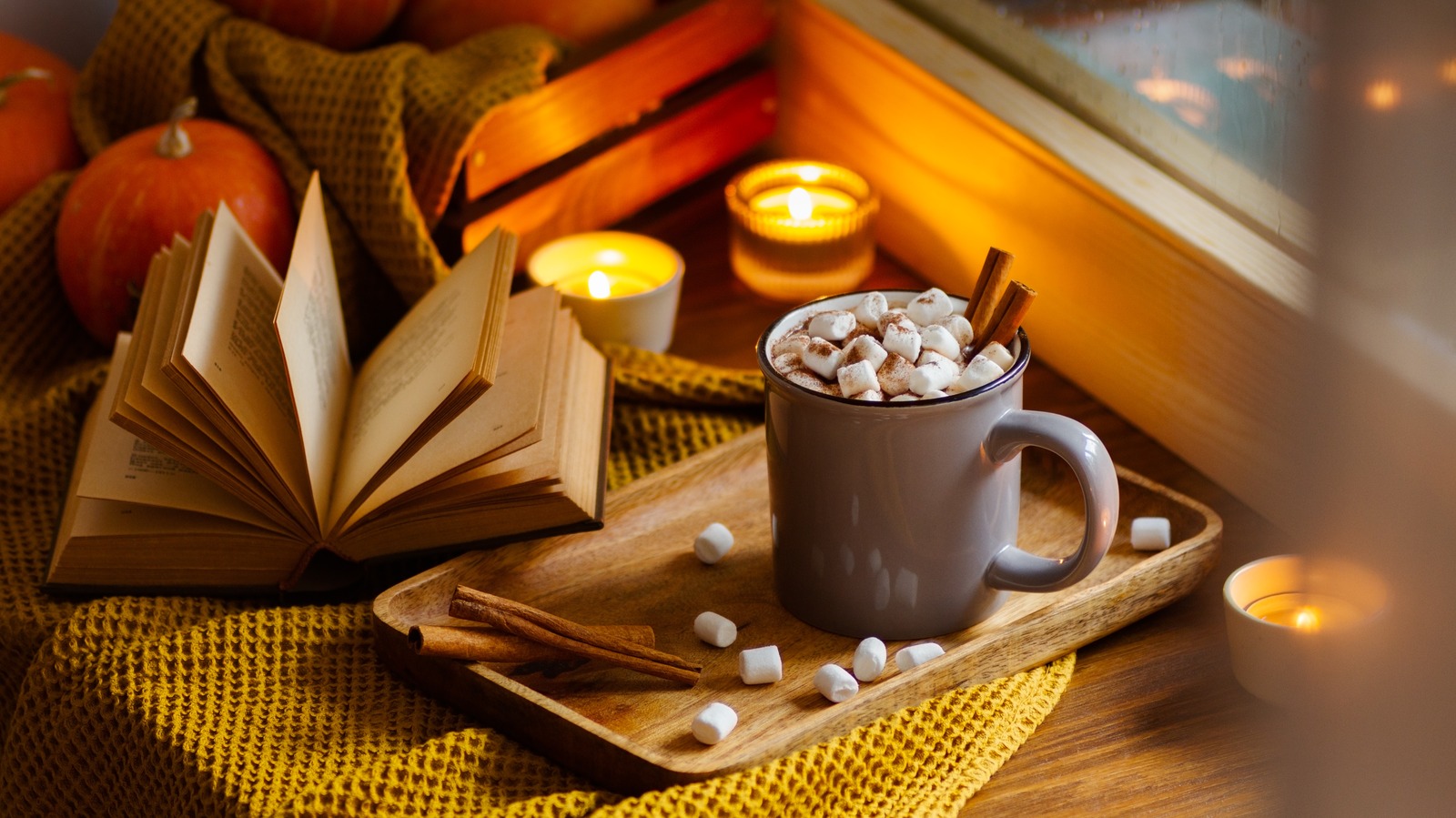 The Best Hot Chocolate Mixes In 2023