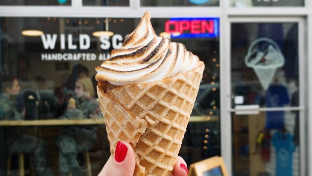 Wild Scoops Baked Alaska ice cream cone