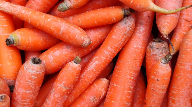 A pile of carrots