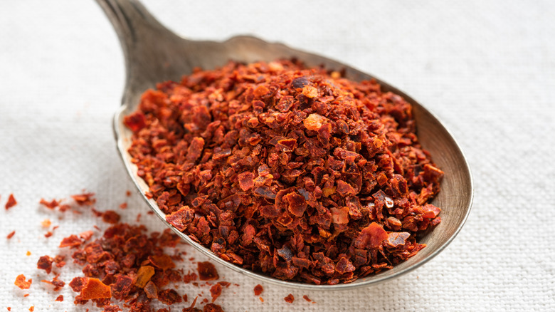 Aleppo Pepper Flakes on a Vintage Spoon