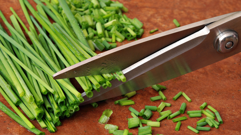 Cutting chives with kitchen shears