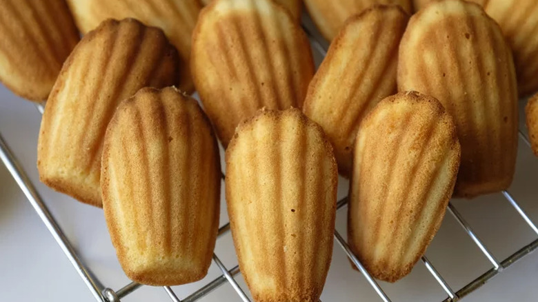 Baked madeleine cookies on wire rack