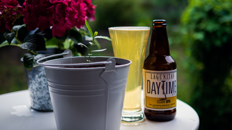  Lagunitas DayTime IPA beer