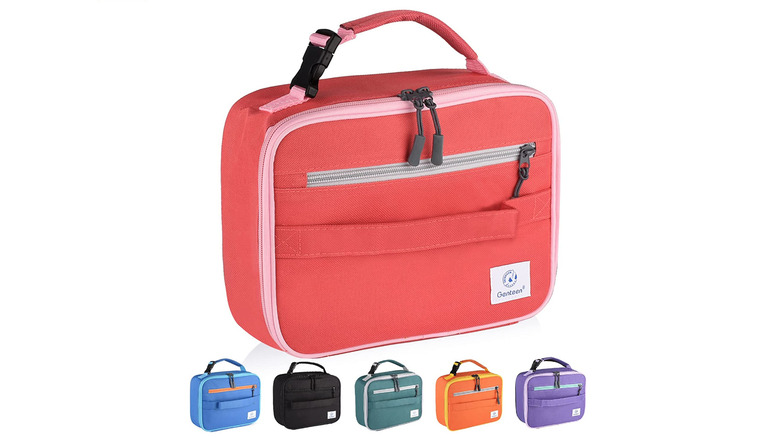 Genteen insulated lunch box for kids