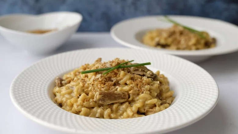 Shallow plates with mushroom mac and cheese