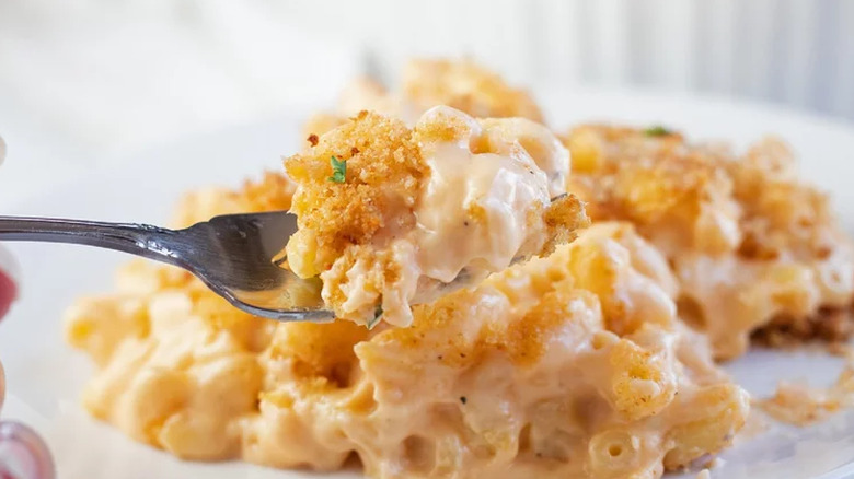 Plateful of creamy mac and cheese with breadcrumb topping.